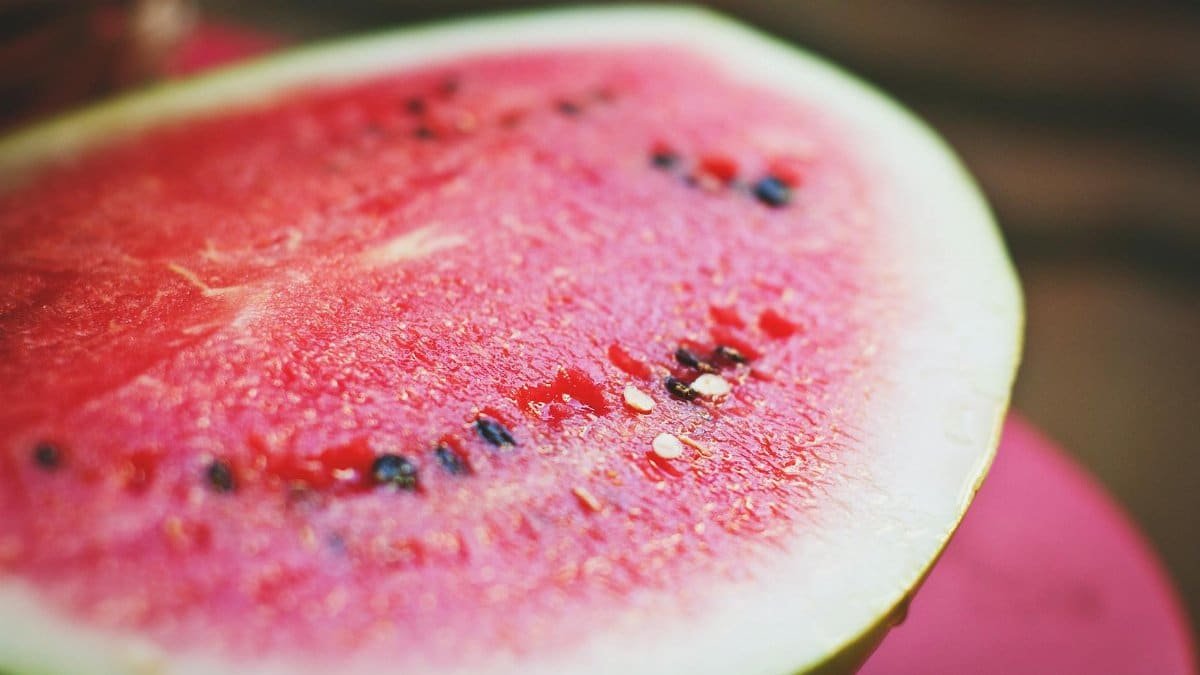 Vibrant close-up of a fresh, juicy watermelon slice highlighting seeds and texture.
