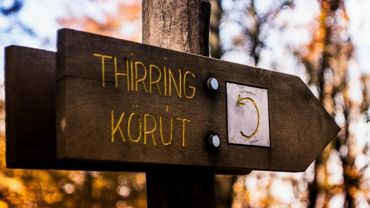 Rustic wooden trail sign pointing in autumn forest at Thirring Kórút, Pilisszentkereszt.