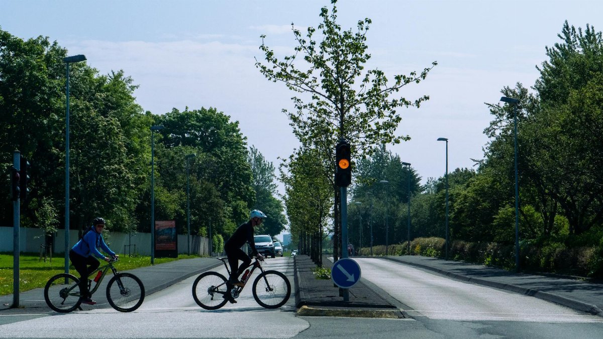 Two cyclists wait at a traffic light on a tree-lined road on a sunny day.