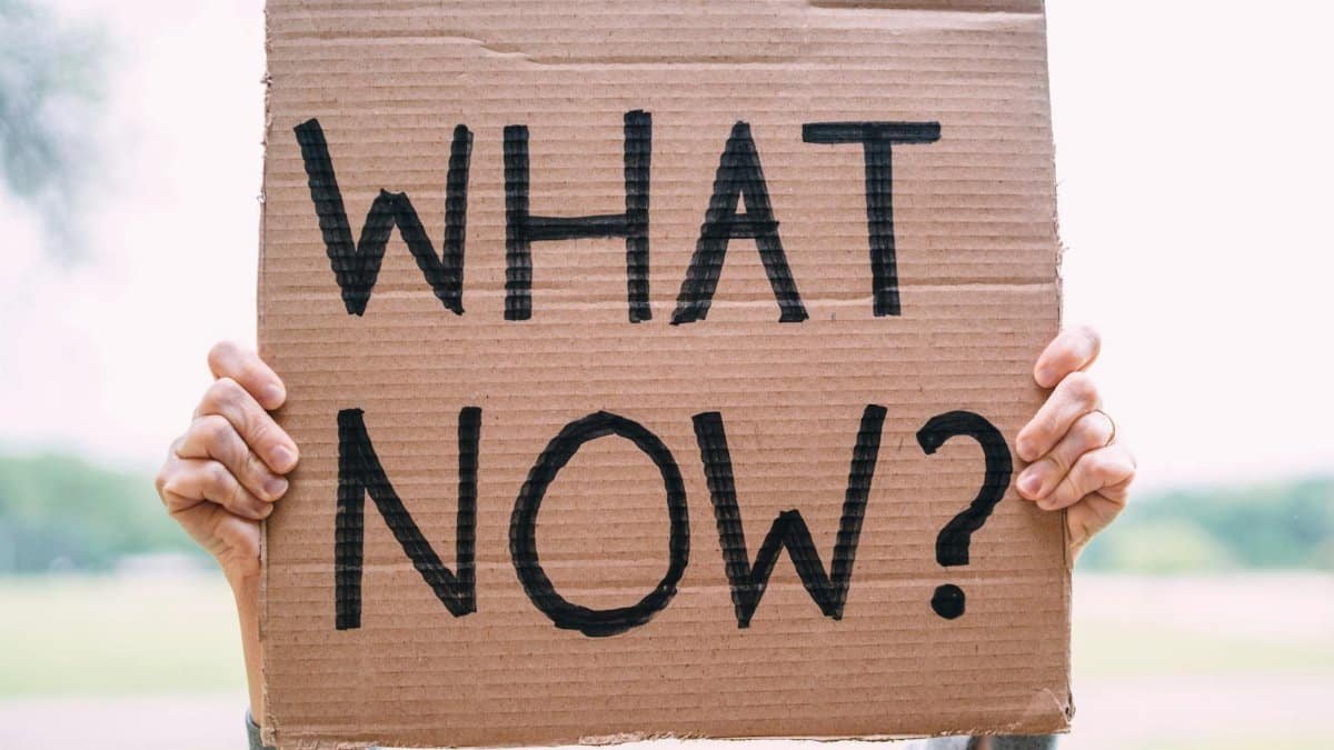 Cardboard sign reading 'What Now?' held outdoors, conveying uncertainty or protest.