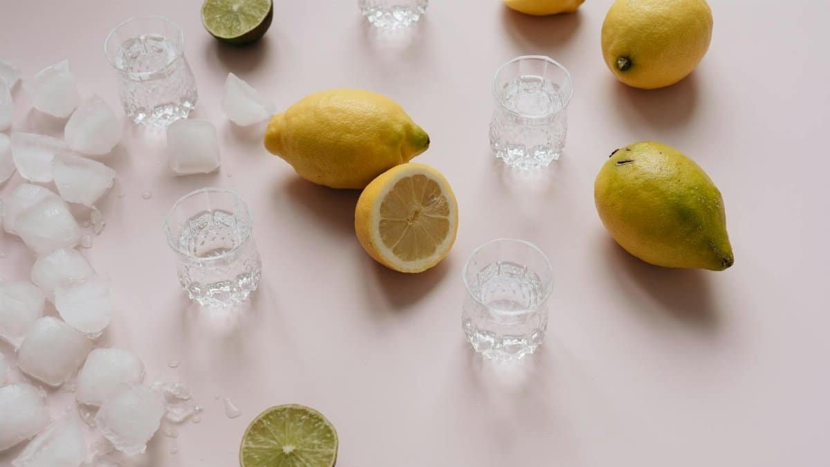 Top view of lemons, limes, ice cubes, and shot glasses on a light surface.