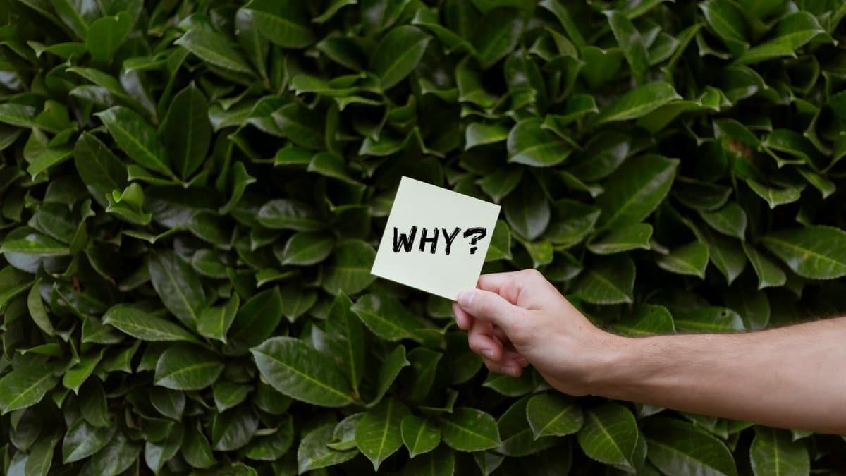 A person holds a paper with 'Why?' against a lush green bush, questioning or seeking ideas.