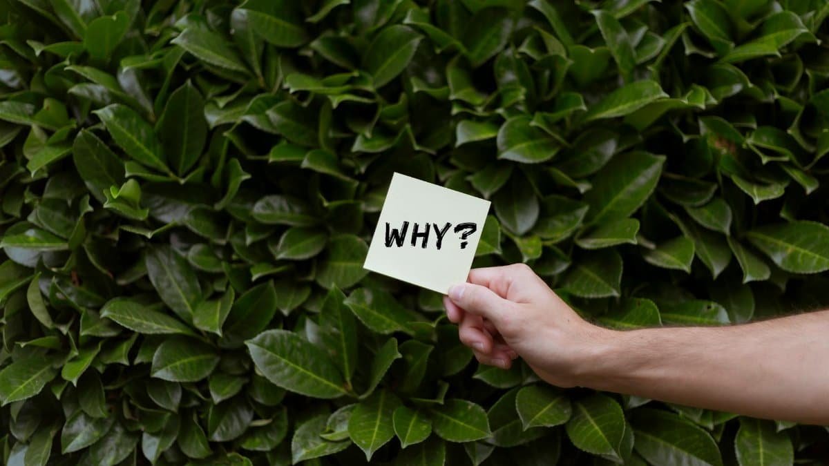 A person holds a paper with 'Why?' against a lush green bush, questioning or seeking ideas.