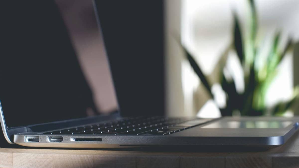 Close-up of a laptop side view on a wooden desk with a plant in the background, perfect for business and technology themes.