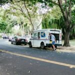 A US mail carrier retrieves packages from a postal van on a peaceful tree-lined street.