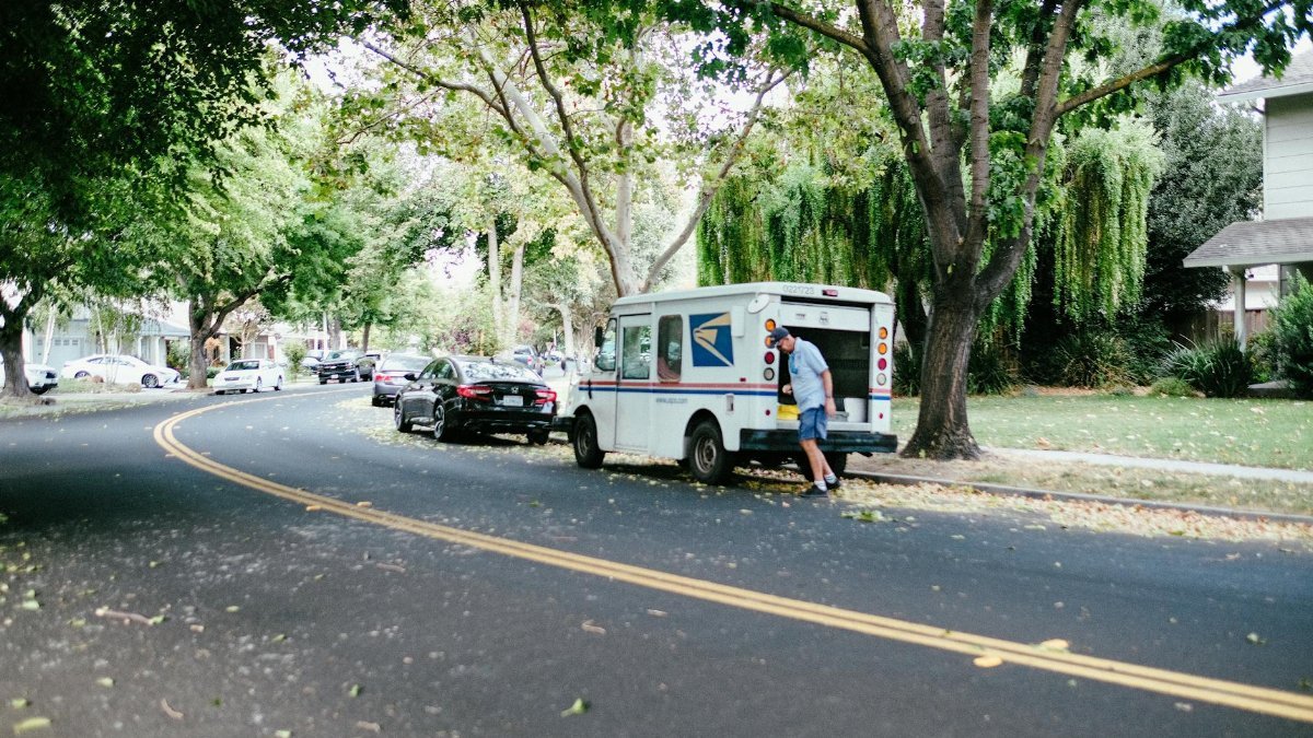 A US mail carrier retrieves packages from a postal van on a peaceful tree-lined street.