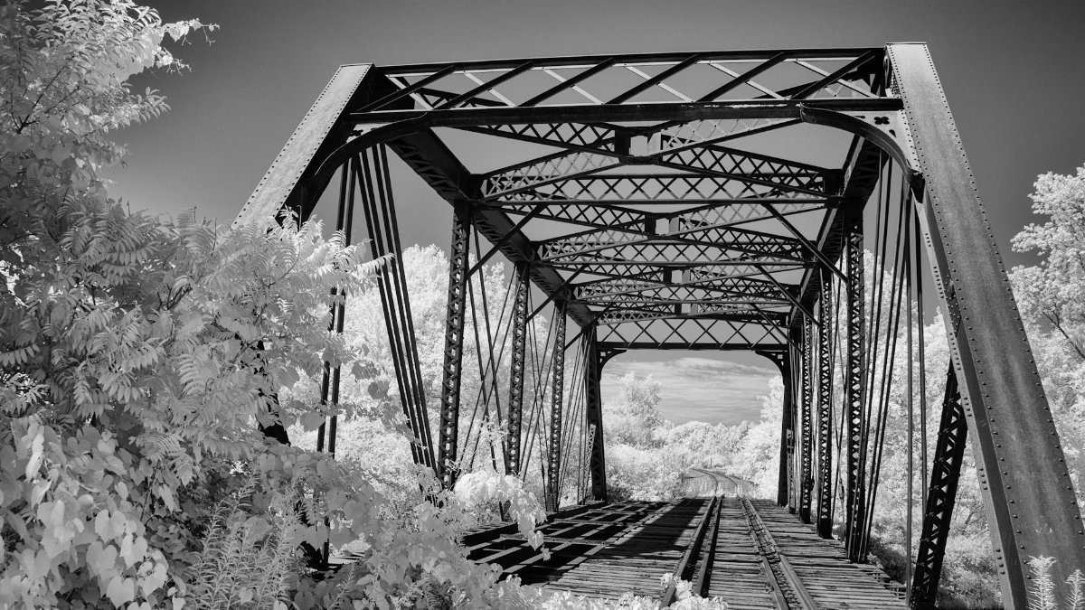 Monochrome image of a steel railway bridge amidst lush foliage, evoking timeless travel vibes.