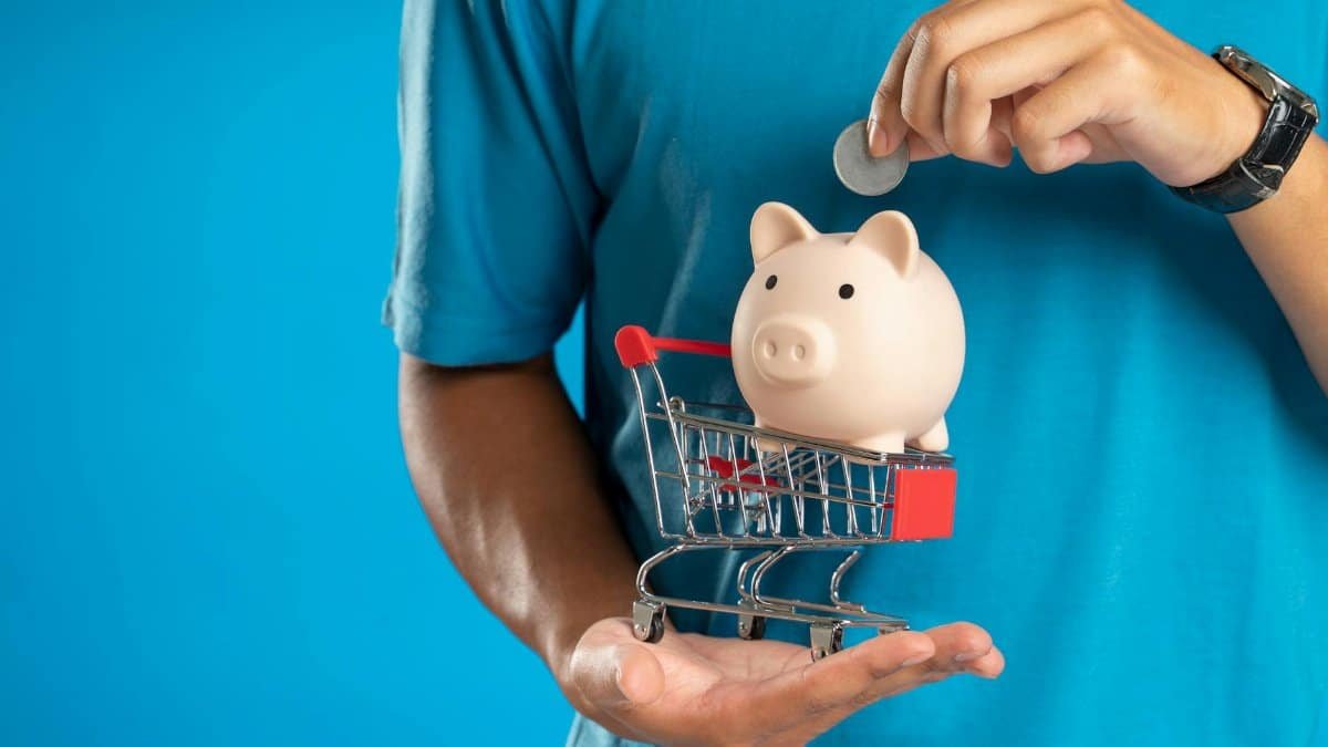 Concept of savings and investment with a piggy bank in a shopping cart.