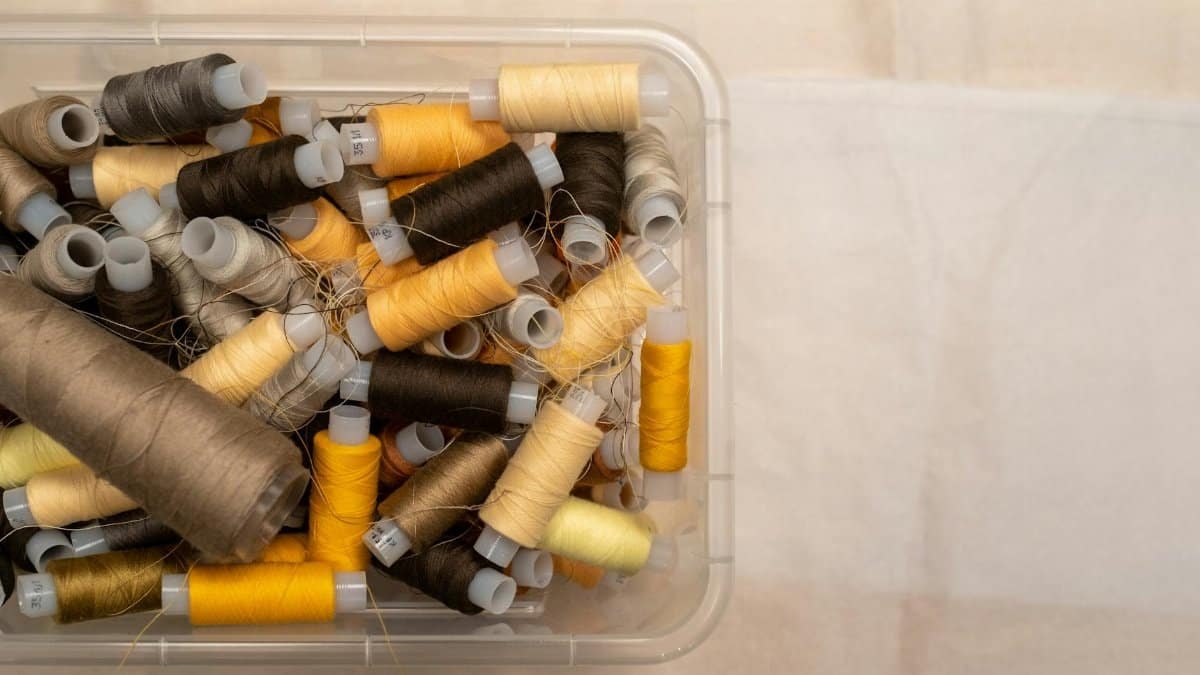 A bird's-eye view of various colored sewing threads neatly stored in a plastic box.