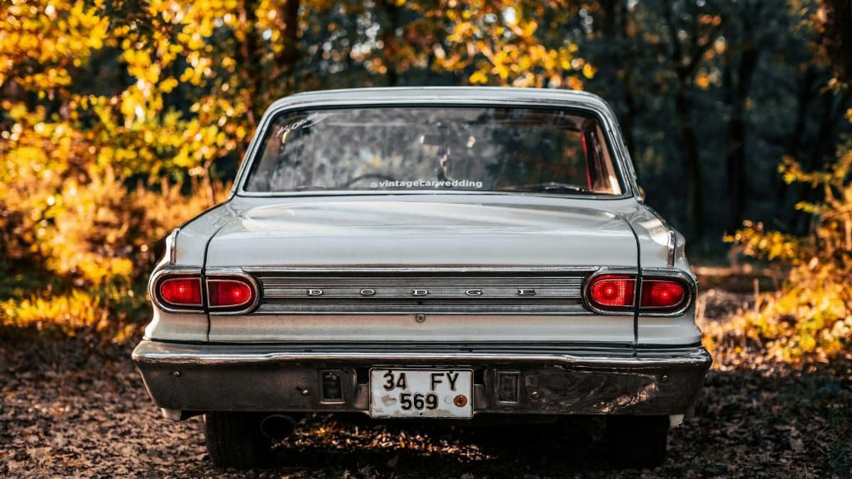 A classic Dodge car photographed from behind, set in a vibrant autumn forest in İstanbul.