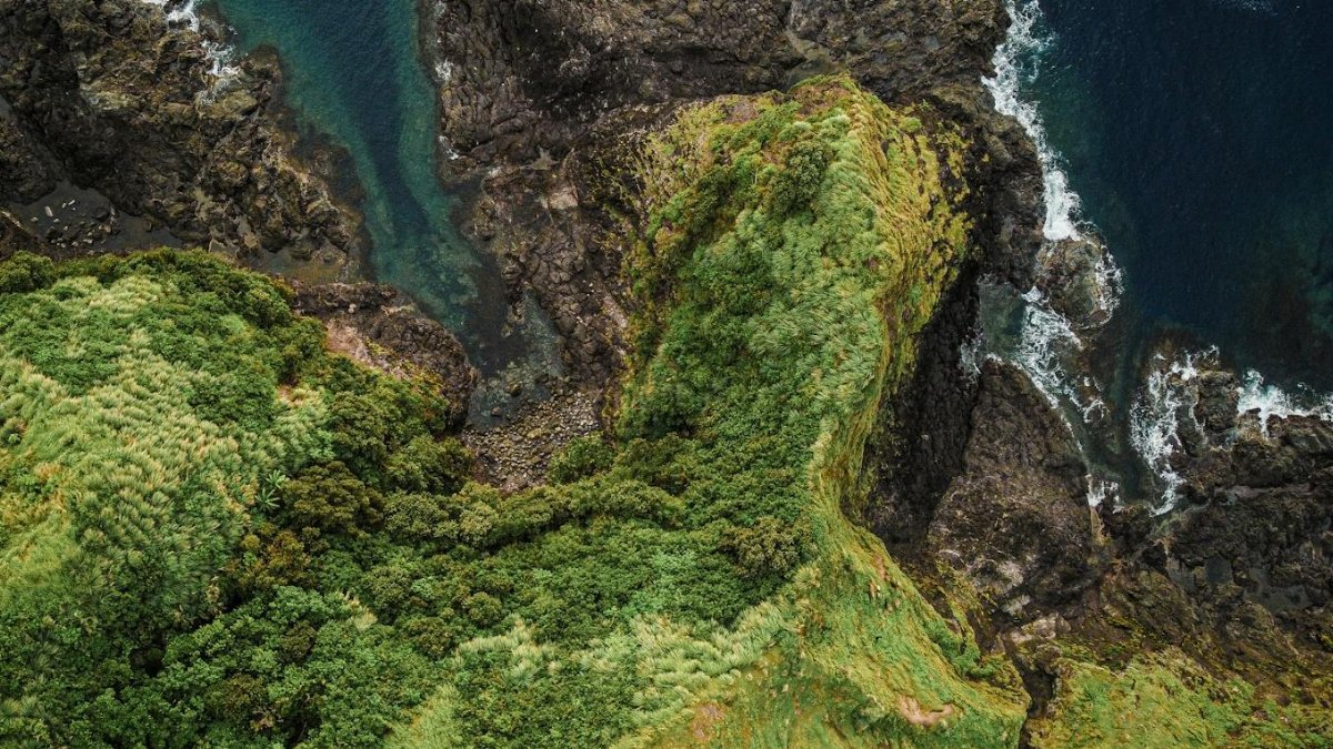 Stunning aerial shot featuring lush green cliffs meeting the rocky shoreline of a deep blue ocean.
