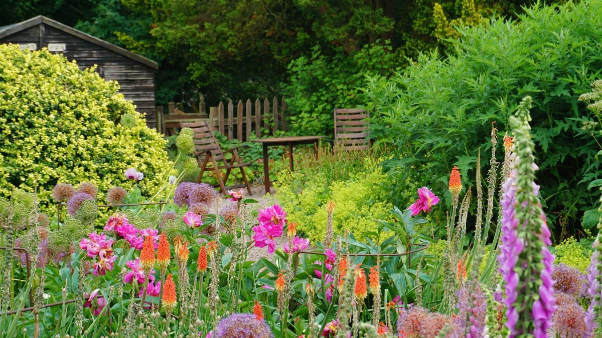 Colorful flowering plants in a lush garden setting in Melrose, Scotland during summer.