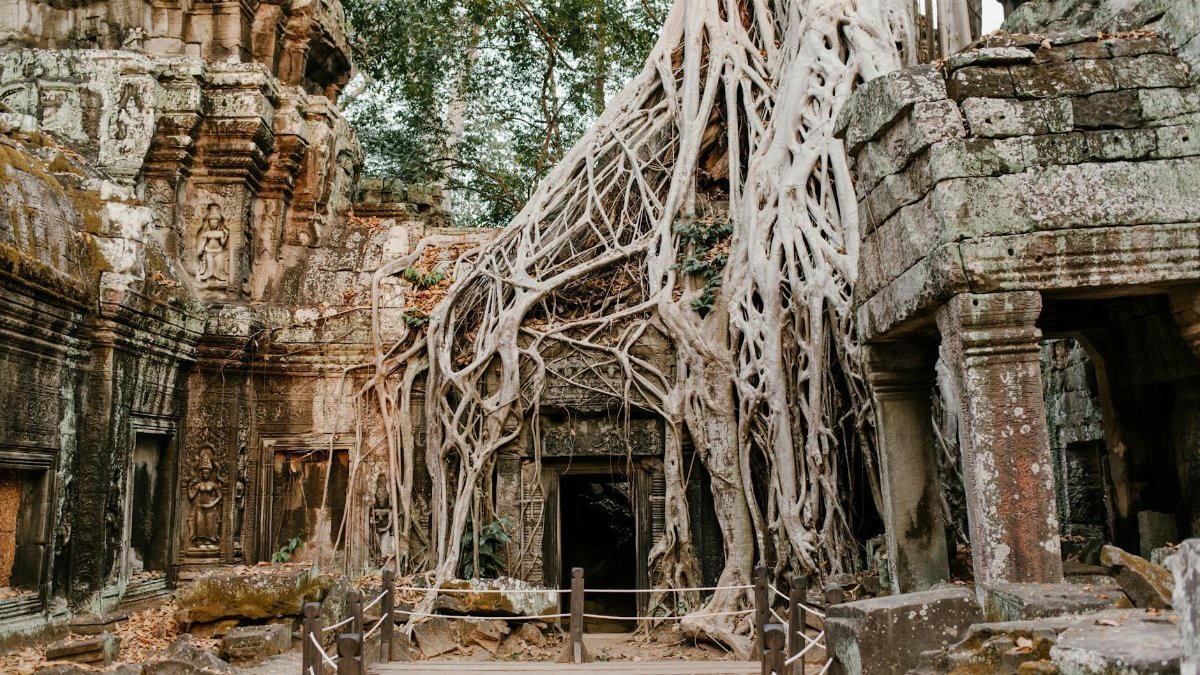 Ancient Ta Prohm temple ruins entangled with tree roots in Angkor, Cambodia, showcasing historical beauty.