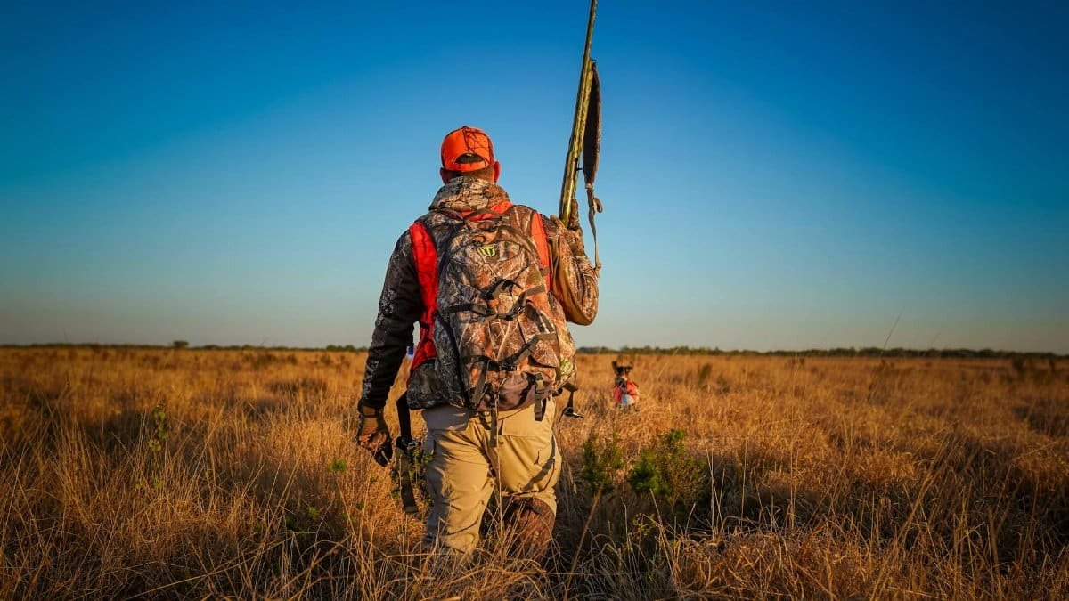A hunter wearing camouflage walks through a grassy field at sunset holding a rifle, Florida.