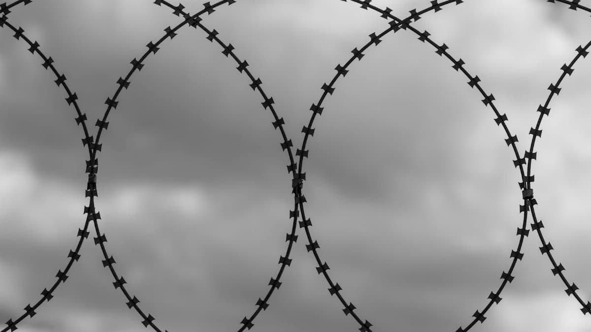 Barbed wire loops silhouetted against dark, overcast clouds, symbolizing security and boundaries.