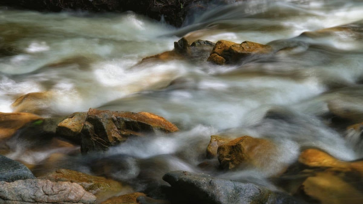Serene image of a stream flowing over rocks in a forest setting. Ideal for nature themes.