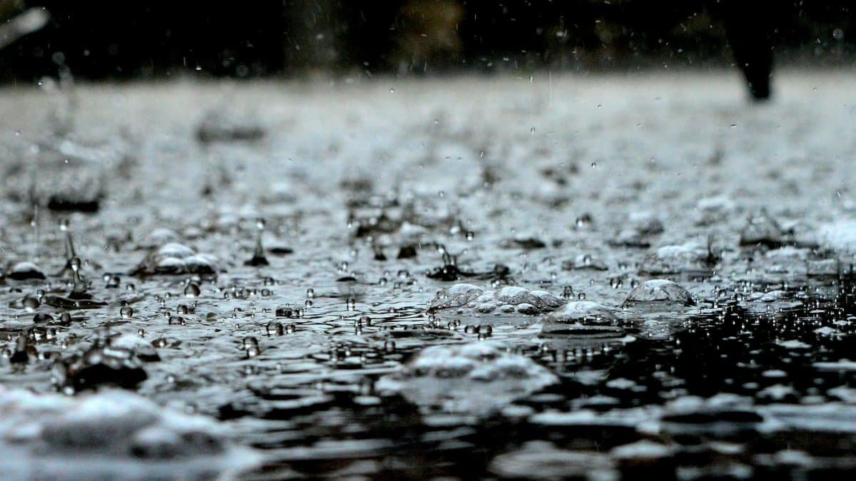 Detailed close-up of raindrops on a surface, capturing the essence of a heavy rain shower.
