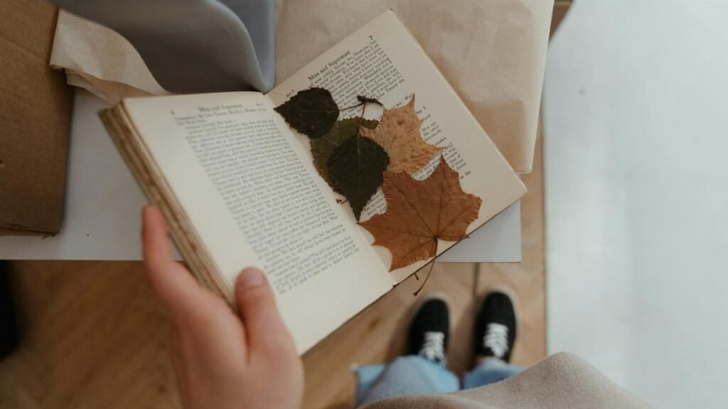 Top-view flatlay of dried autumn leaves in an old book, creating a rustic feel.