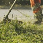 A person using a lawn mower to trim grass in a sunny garden.