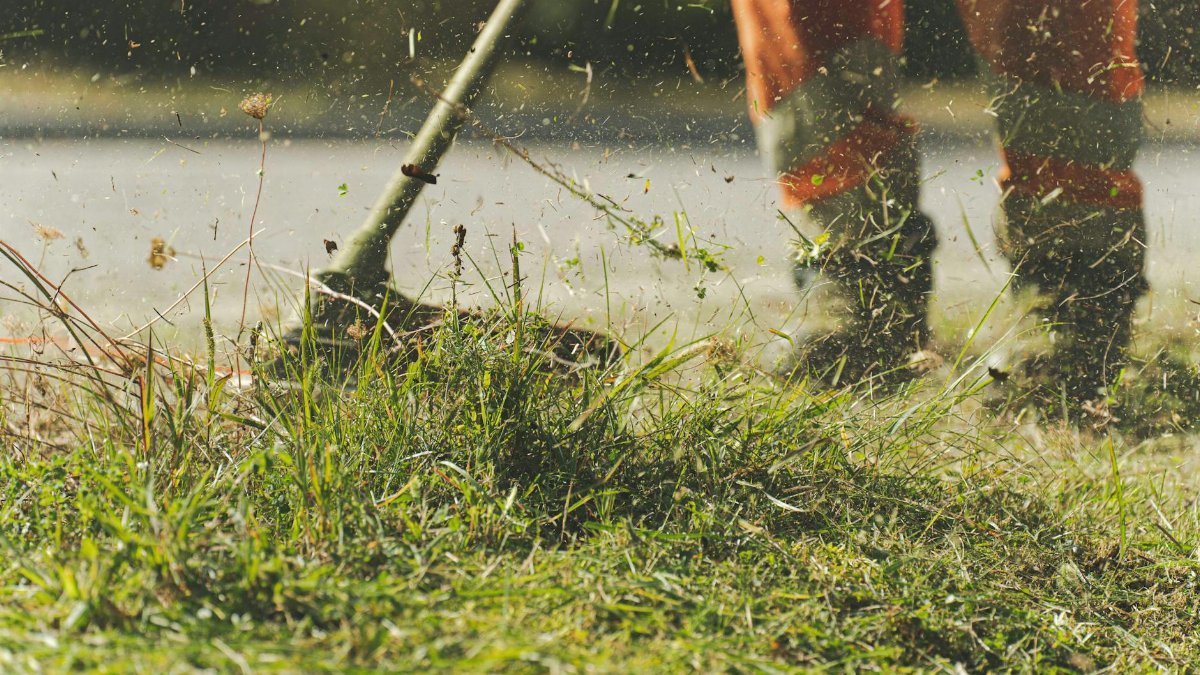 A person using a lawn mower to trim grass in a sunny garden.