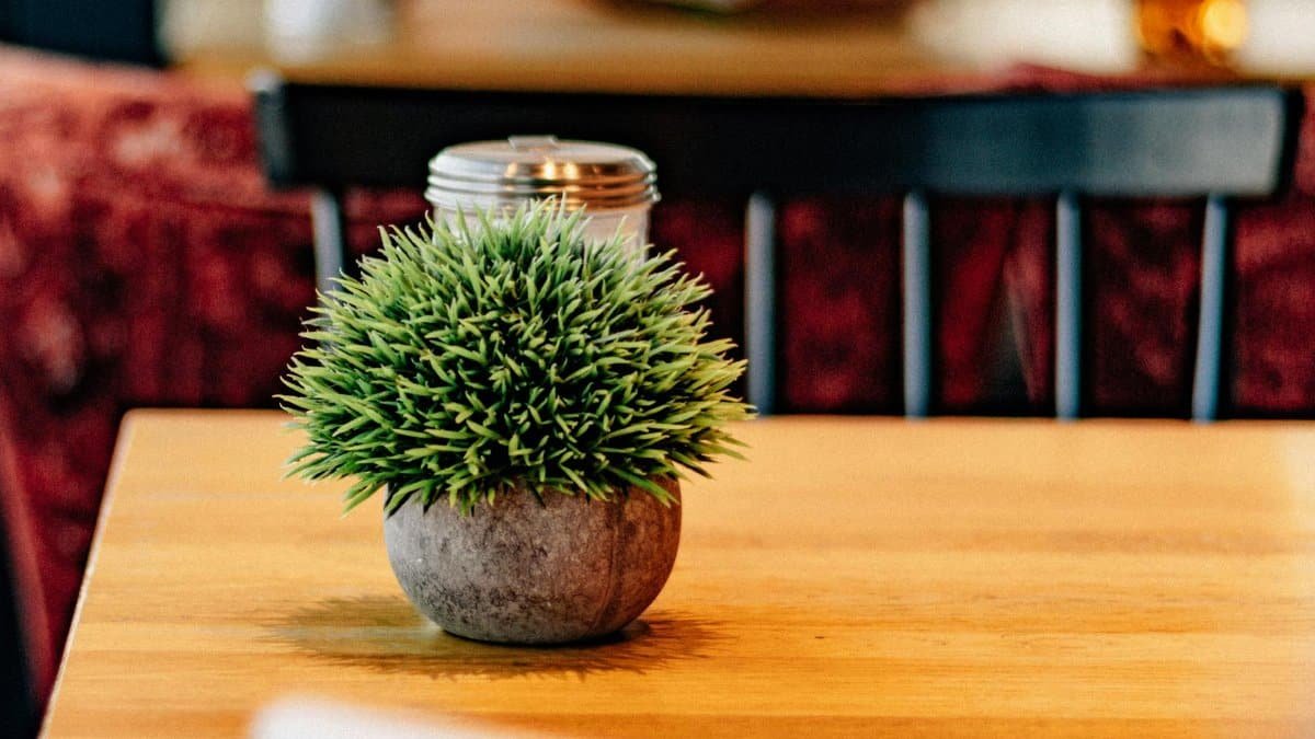 A cozy minimalist dining area featuring a green plant in a grey vase and natural light.