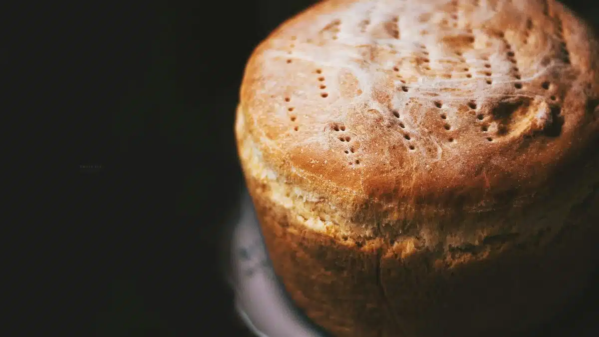 From above of delicious homemade fresh baked loaf of bread with patterns on top served on plate on blurred black background