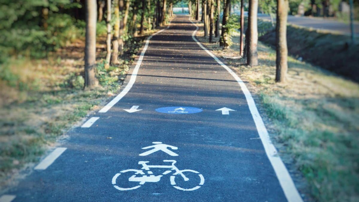 Tranquil forest bicycle path with clear pavement markings for cycling and walking.